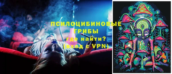 ГАЛЛЮЦИНОГЕННЫЕ ГРИБЫ Алзамай