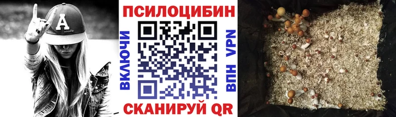Галлюциногенные грибы мицелий Иланский